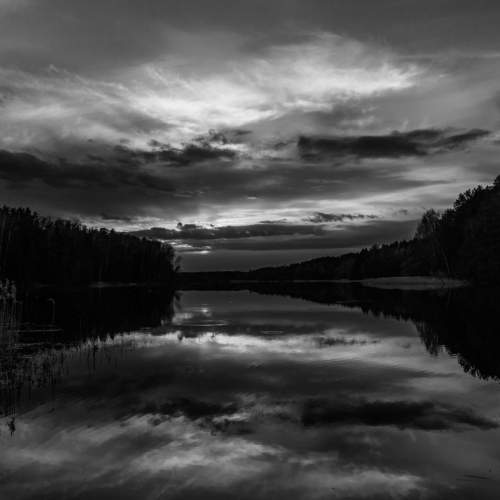 Photo #7575415