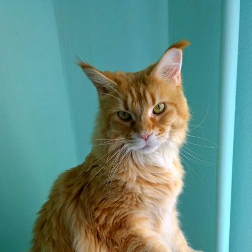 Photo #7575836