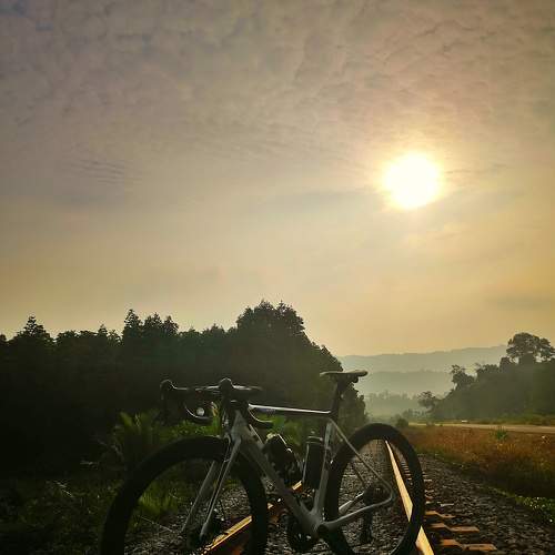 Photo #7575856