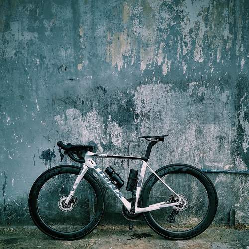 Photo #7575886