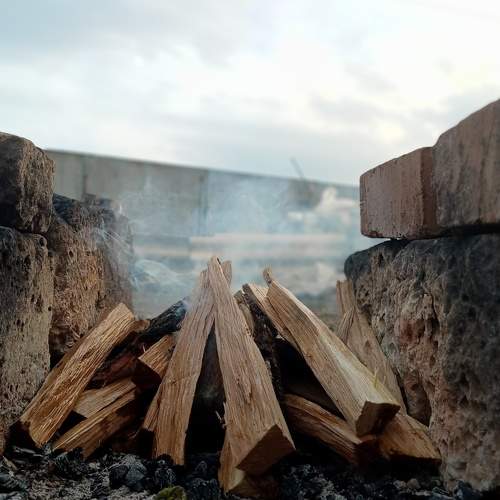 Photo #7575909