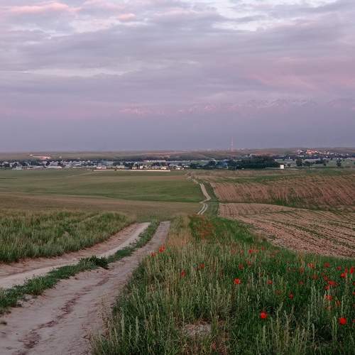 Photo #7576039
