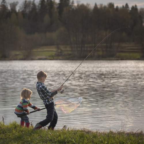 Photo #7576697