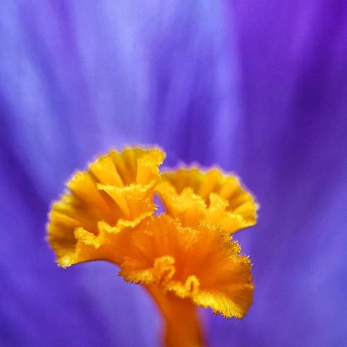 Photo #7577171