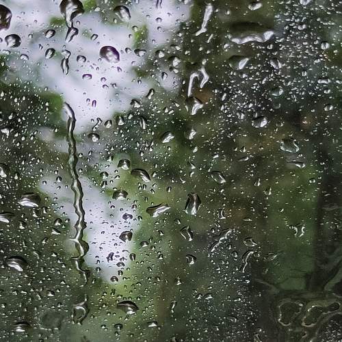 Photo #7577504