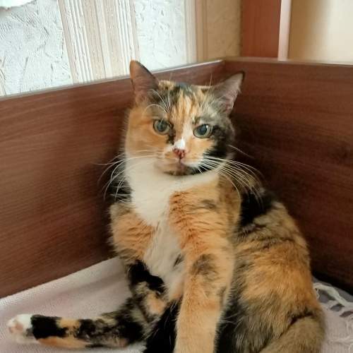Photo #7577544