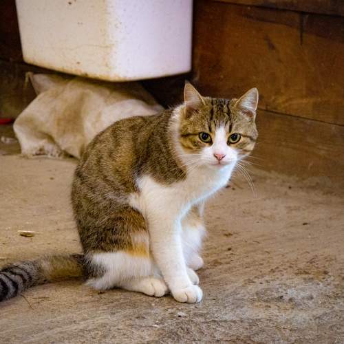 Photo #7577946