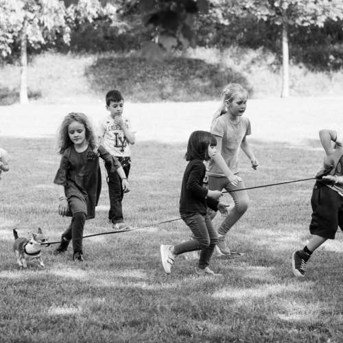 Photo #7577949