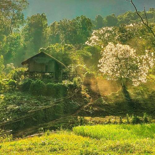 Photo #7578229