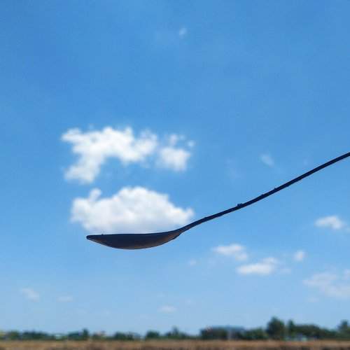 Photo #7578442