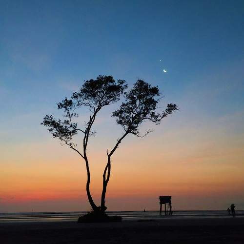 Photo #7578452