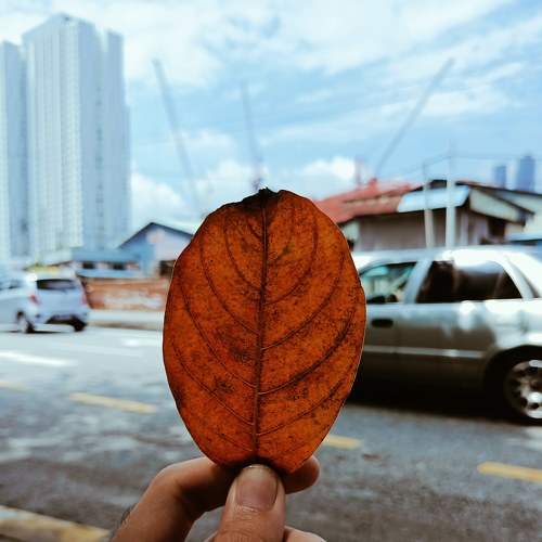 Photo #7578485