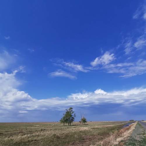 Photo #7578630