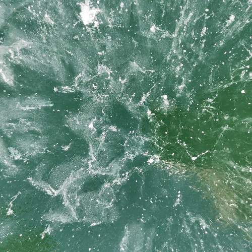 Photo #7578632