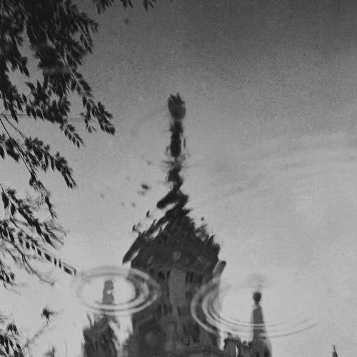 Photo #7578787