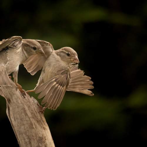 Photo #7578815