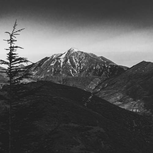 Photo #7579200