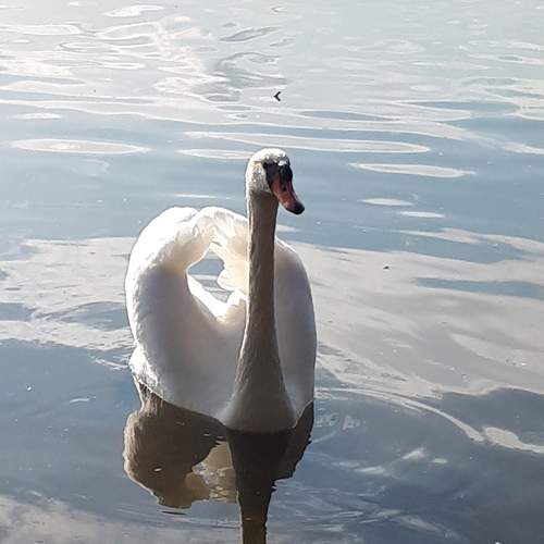 Photo #7579251