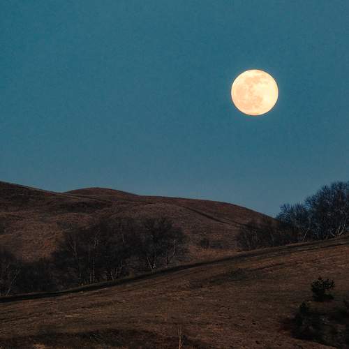 Фотография #7579337