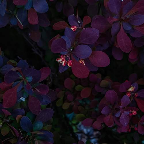 Photo #7579421