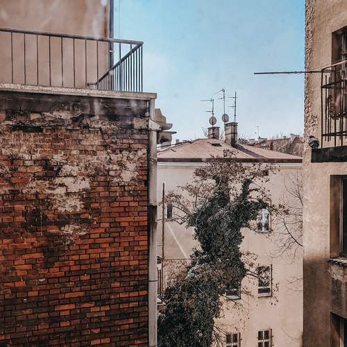 Photo #7579439