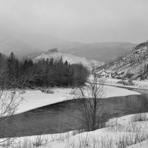 Photo #7579937