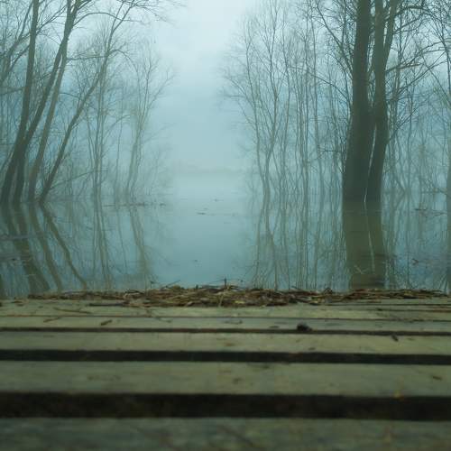 Photo #7580010