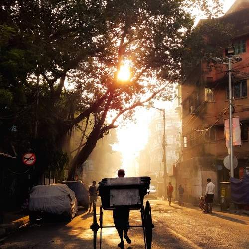 Photo #7580056