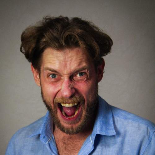 Photo #7580646