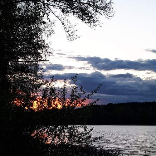 Photo #7580720