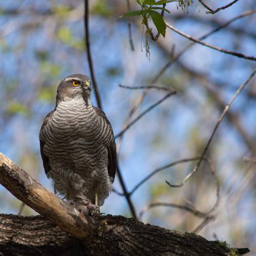 Photo #7580752