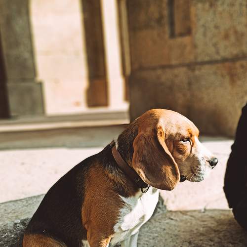 Photo #7581119