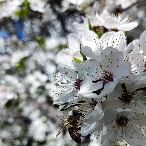 Photo #7581639