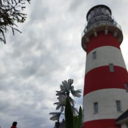 Photo #7581880