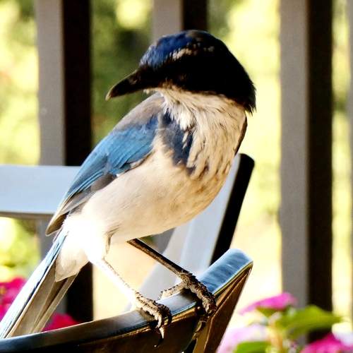 Photo #7582225