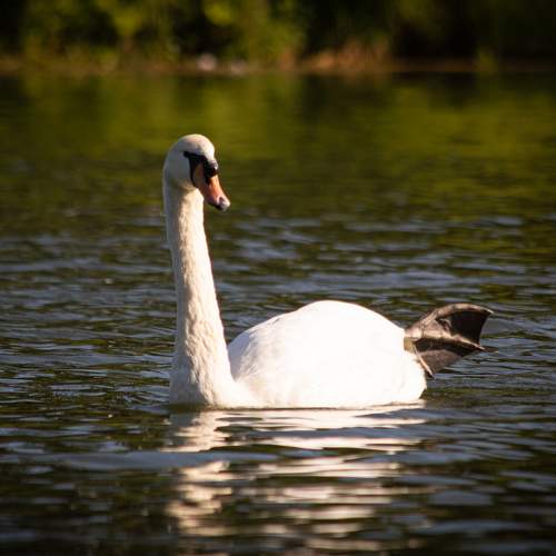 Photo #7582332