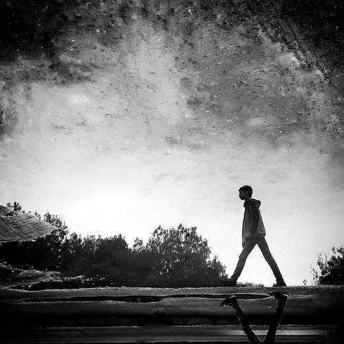 Photo #7582486