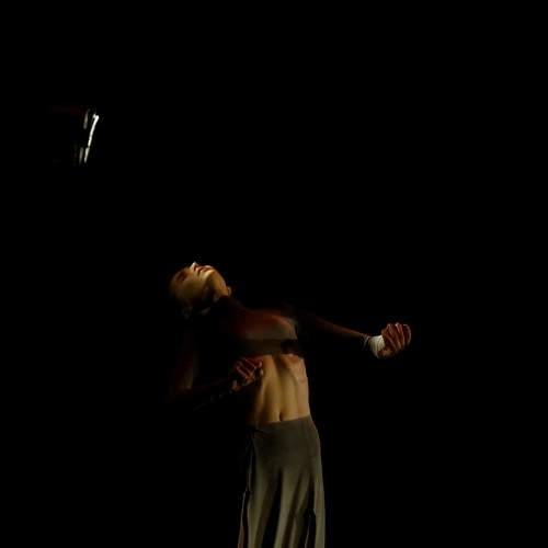 Photo #7582503