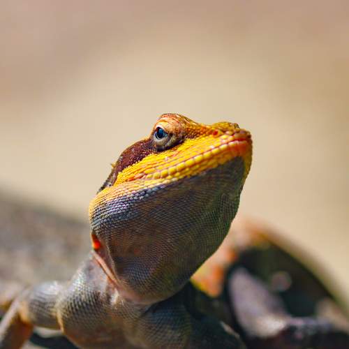 Photo #7582514