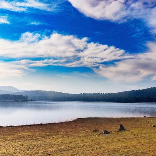 Photo #7582524