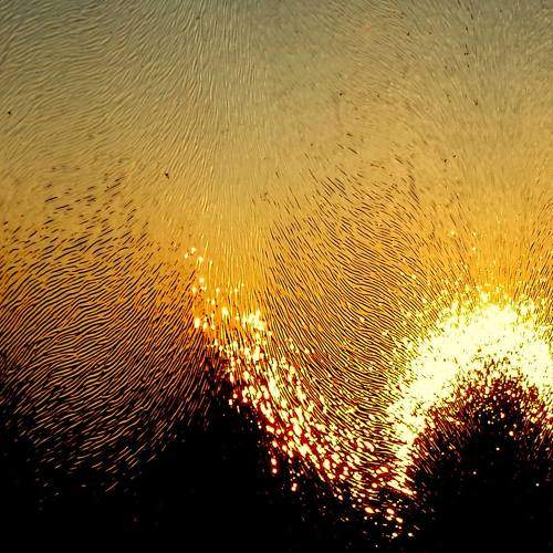Photo #7582629