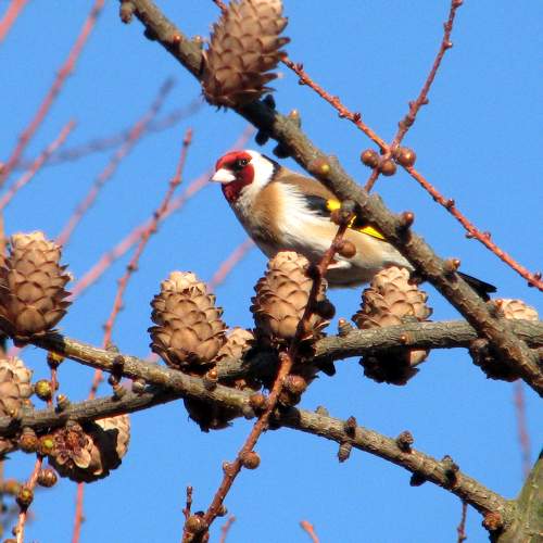 Photo #7582822