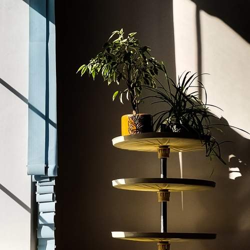 Photo #7583341
