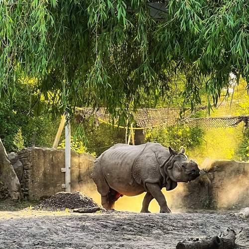 Photo #7583771