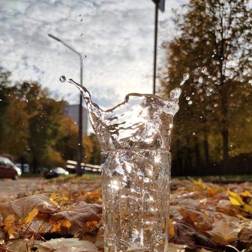 Photo #7584291