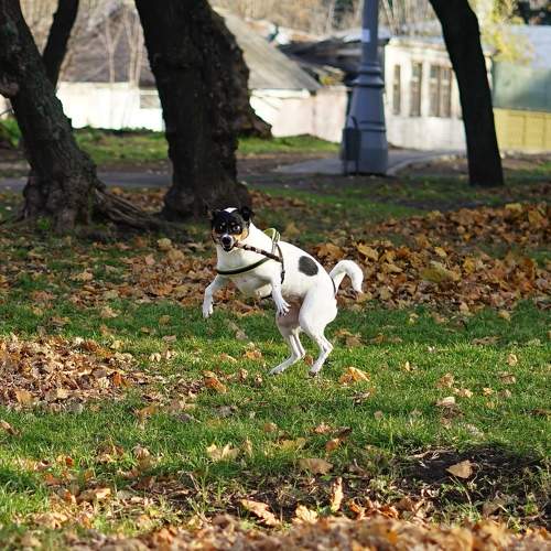 Photo #7584410