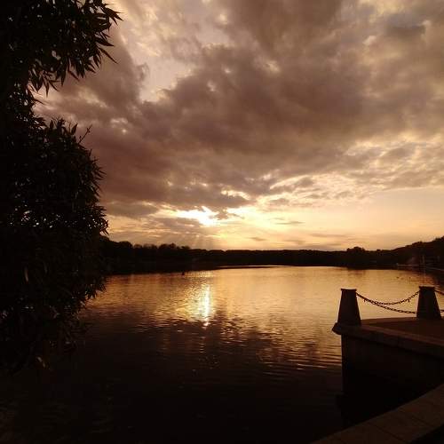 Photo #7584634
