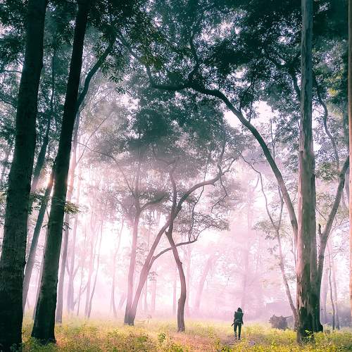 Photo #7585149