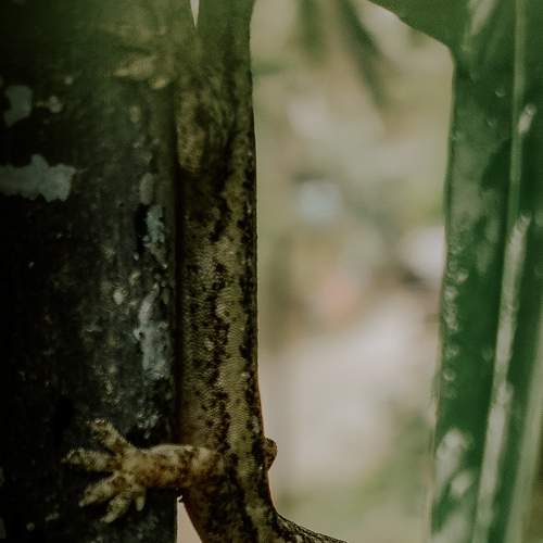 Photo #7585530