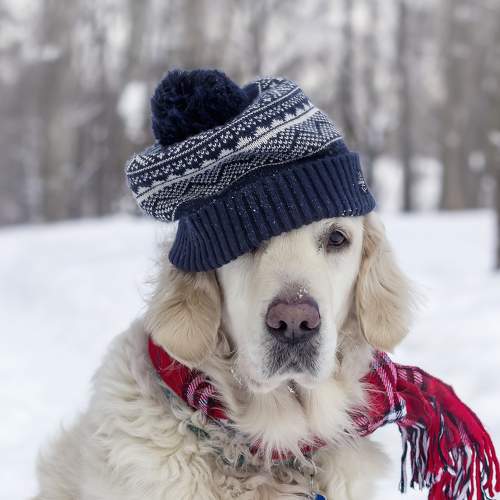 Photo #7585668